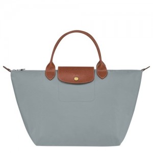 Steel Longchamp Le Pliage Original M Handbag | SN-LCMP47740