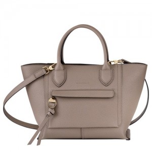 Taupe Longchamp Mailbox M Handbag | SN-LCMP47698