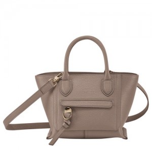 Taupe Longchamp Mailbox S Handbag | SN-LCMP47699