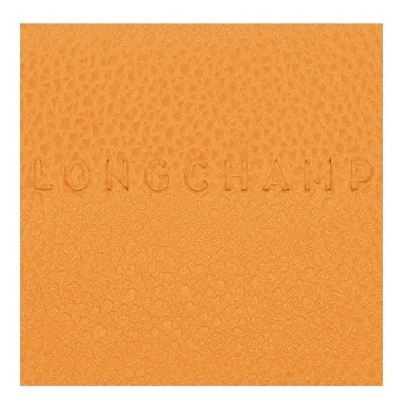 Apricot Longchamp Le Foulonné Card Holder | SN-LCMP49254