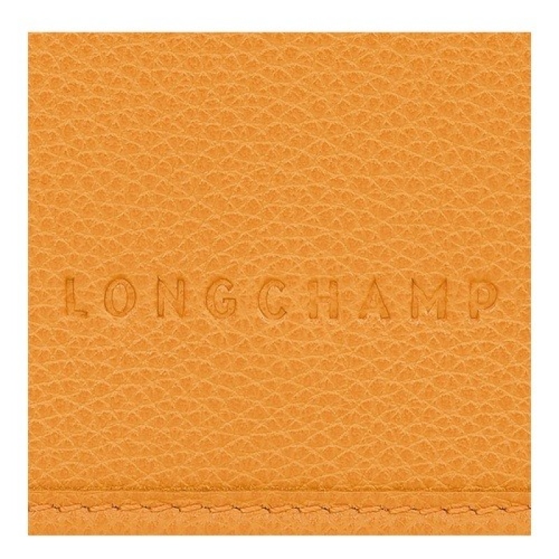 Apricot Longchamp Le Foulonné Wallet On Chain | SN-LCMP47902