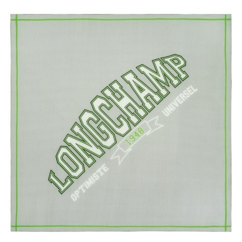 Grey Longchamp Le Pliage University Scarf | SN-LCMP48918