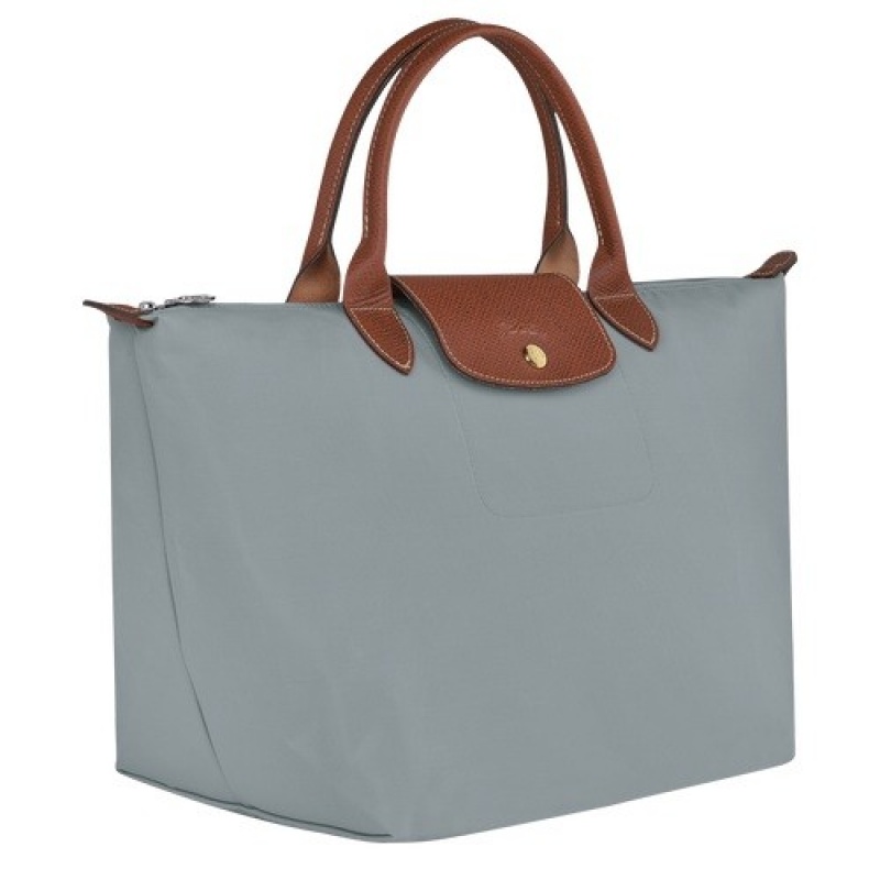 Steel Longchamp Le Pliage Original M Handbag | SN-LCMP47740