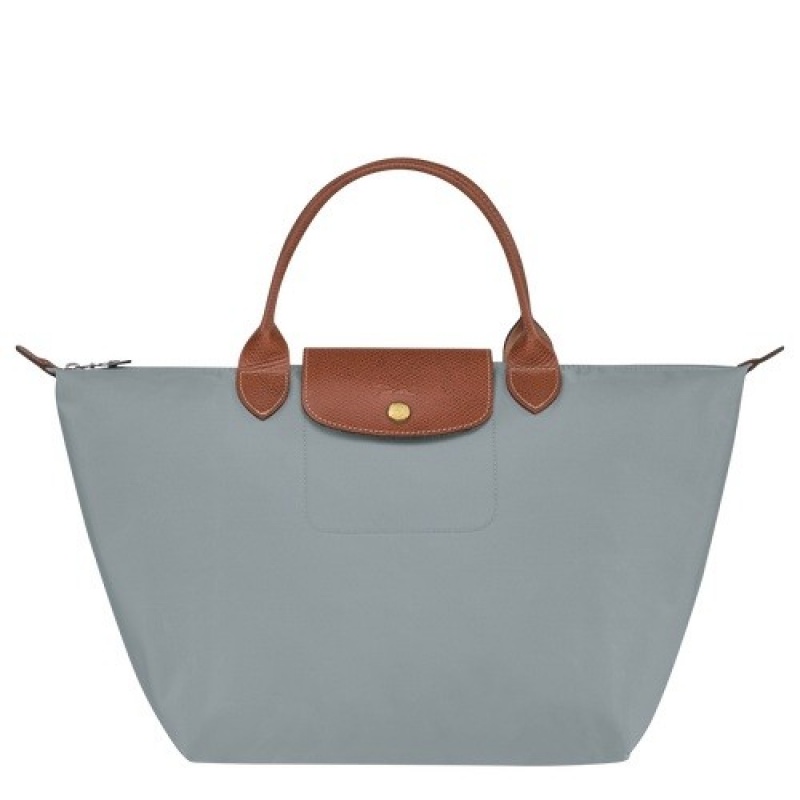 Steel Longchamp Le Pliage Original M Handbag | SN-LCMP47740