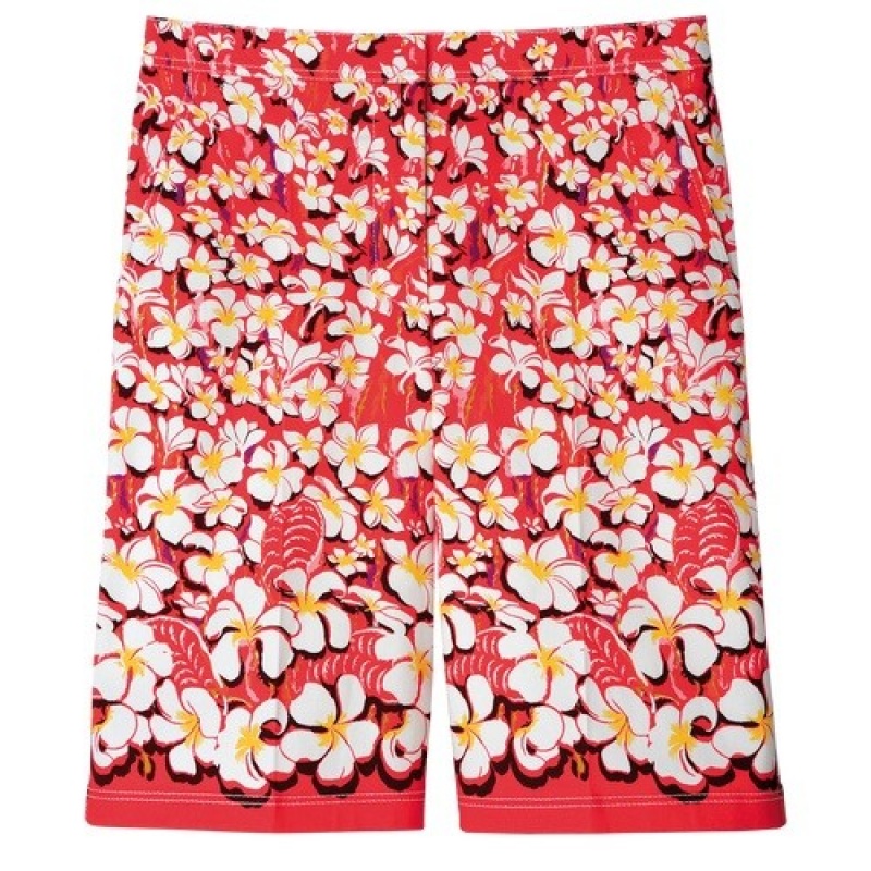 Strawberry Longchamp Bermuda Shorts | SN-LCMP48773