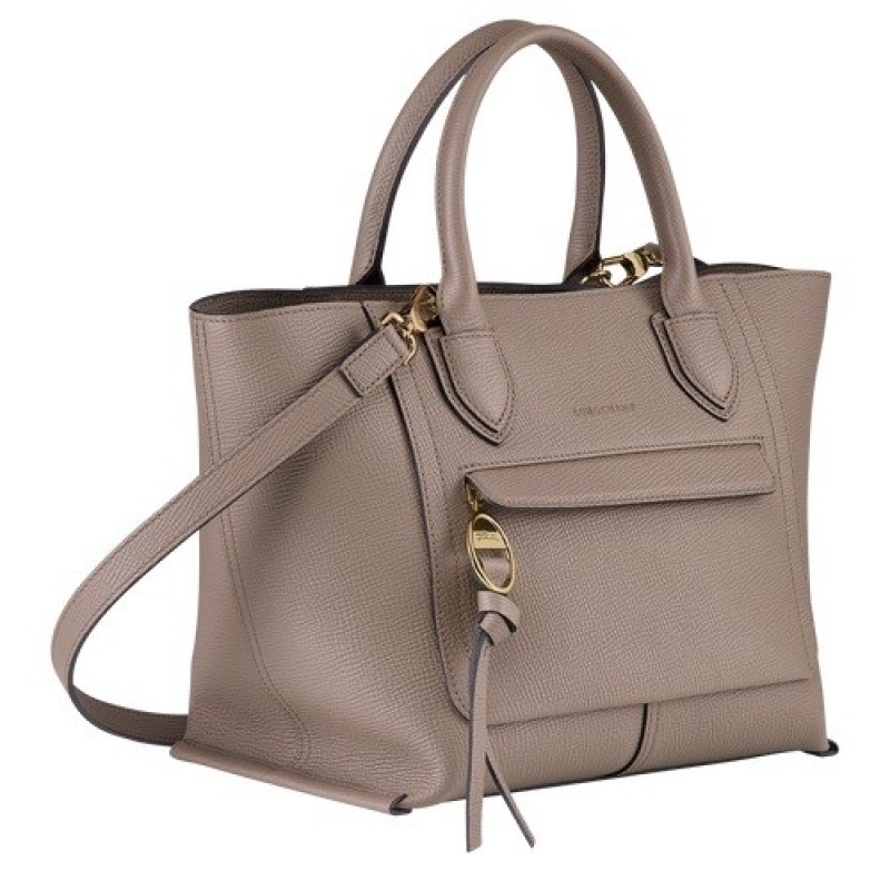 Taupe Longchamp Mailbox M Handbag | SN-LCMP47698