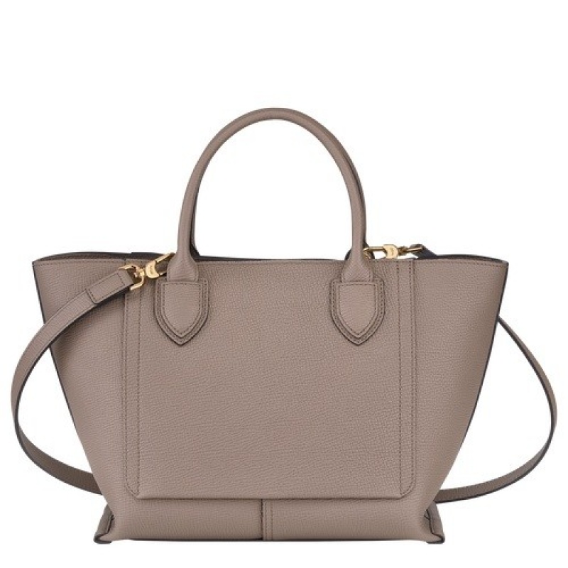 Taupe Longchamp Mailbox M Handbag | SN-LCMP47698