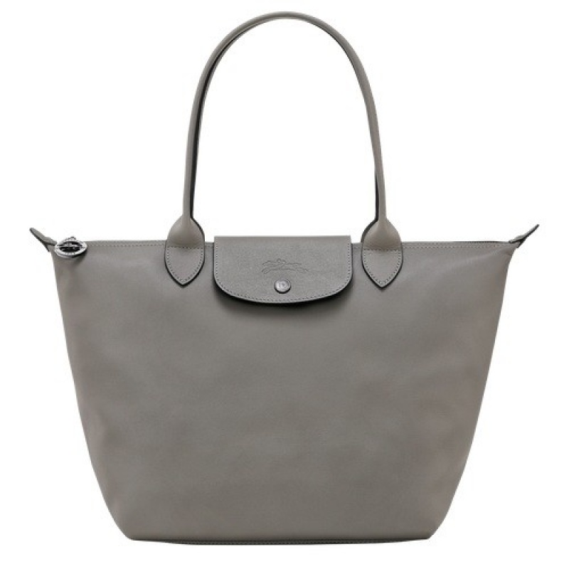 Turtledove Longchamp Le Pliage Xtra M Tote Bag | SN-LCMP48078